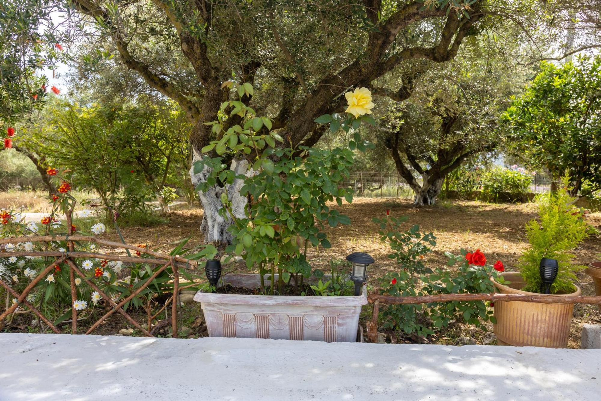 Sea & Olives House Σπίτι διακοπών Ληξούρι