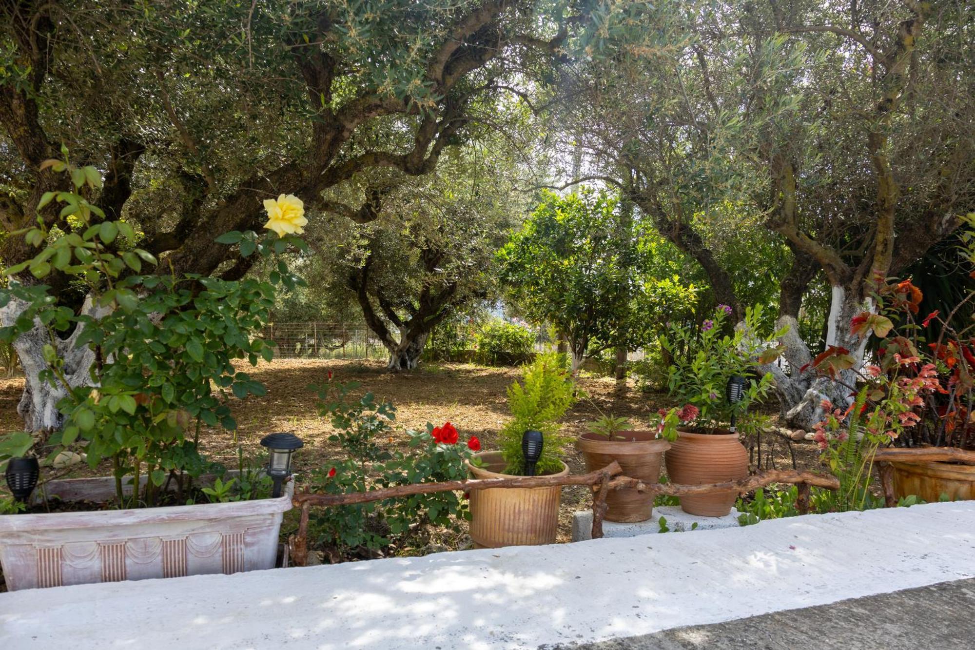 度假居 Sea & Olives House
